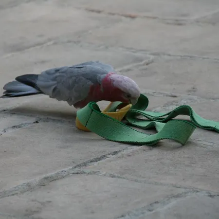 La Maison Du Bonheur Zen Отель типа 