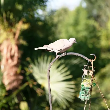 La Maison Du Bonheur Zen Отель типа 