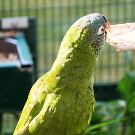 La Maison Du Bonheur Zen 3*