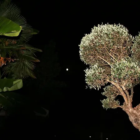 La Maison Du Bonheur Zen 3*